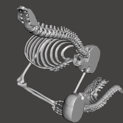 craneos-love-perfil.jpg Skeletons love skulls love