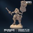 resize-a28.jpg Seekers of the Ethernal Moon - MINIATURES 2023