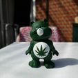 No Care Bear Collection