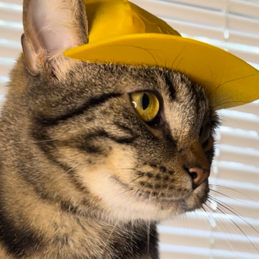 IMG_3976.png Baseball Cat Cap