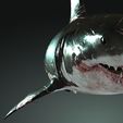 03y.jpg SHARK, DOWNLOAD Shark 3D modeL - Animated for Blender-fbx-unity-maya-unreal-c4d-3ds max - 3D printing SHARK SHARK FISH - TERROR  - PREDATOR - PREY - POKÉMON - DINOSAUR - RAPTOR