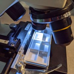 micro-ant.jpg Free STL file Specimen Box for Microscope / Microscope Slide Box・3D printer design to download