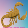1.png scorpion 1,MODÈLE 3D STL FILE POUR ROUTER CNC LASER & IMPRIMANTE 3D