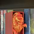 IMG_5421.jpeg Lion Emerging- Gryffindor Inspired Book Nook