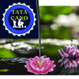 60.png Lotus Flower Incense Holder (Lotus Flower Incense Holder)