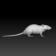 rat2.jpg Rat - Rat 3d model for 3d print - Rat game model
