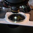 DSCF3215.jpg Petri dish holder for microscope MOTIC BA210E and BA310E (BA210 and BA310 Elite versions)