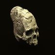 untitled.25.jpg Paracas elongated skull