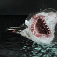 003.jpg SHARK, DOWNLOAD Shark 3D modeL - Animated for Blender-fbx-unity-maya-unreal-c4d-3ds max - 3D printing SHARK SHARK FISH - TERROR  - PREDATOR - PREY - POKÉMON - DINOSAUR - RAPTOR
