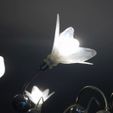 DiffuseurRomulée.jpg Flower Diffusers for G4 LED Bulbs
