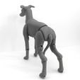 IMG_20200422_153456.jpg Greyhound BJD