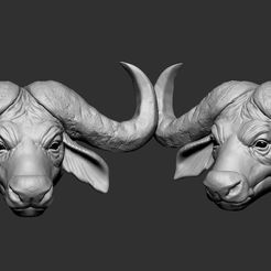 BL01.jpg Télécharger le fichier OBJ Tête de bison • Objet imprimable en 3D, F-solo