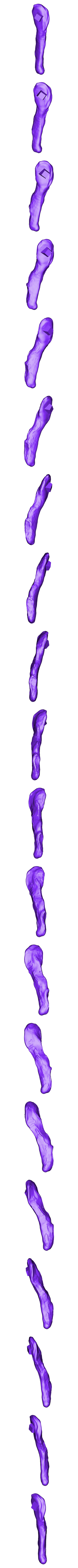 Metatarsals_Left_Part_02.OBJ Scheletro di piccolo T-rex a grandezza naturale - Parte 03/10