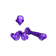 Stego_Legs.stl Free STL file Stegosaurus Skeleton・3D printing design to download