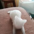 Low Poly Cat