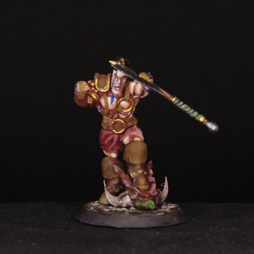 DSC02986.jpg Diablo 2 Bárbaro