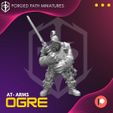 resize-ogre-at-arms-4.jpg Ogre at Atms