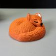 IMG_2821.jpg Sleeping Fox
