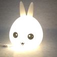IMG_20190817_012056~01.jpg Night light Bunny head
