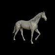 24.jpg Thoroughbred Horse model 3D print model