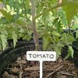 20220601_151801.jpg PLANT IDENTIFIER