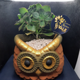 buho002.png Owl planter