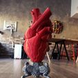 5.jpg Anatomical Heart Vase