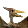3.png Pteranodon Fliegender Dinosaurier