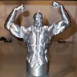 IMG_20230222_191322.jpg Free STL file Alex Louis Armstrong(Fullmetal Alchemist)・3D printer design to download