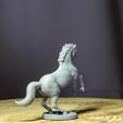 6.jpg Horse Pack for D&D, Tabletop Games and Collectors. 3 Poses Gallop, Trot and Rearing, bases included 32mm scale.
