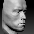 ArnoldLifecast20.png 3D-сканированное изображение головы Арнольда Шварценеггера Lifecast Head (Терминатор, T800, Хищник, Конан-варвар, Коммандос, Полный отзыв, Правдивая ложь, Бегущий человек)