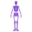 Whole_skeleton.stl Menschliches Skelett