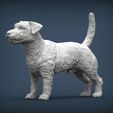 Jack-Russell-Terrier3.jpg Jack Russell Terrier Longhair 3D print model