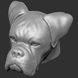 18.jpg Boxer dog for 3D printing