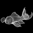 UV.jpg GOLDFISH Guppy Blue Grass FISH TOAD AMPHIBIAN TADPOLE ANIMAL ANATOMY 3D MODEL WATER OCEAN RIVER BOAT SALMON SHARK