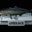 Greater-Amberjack-statue-22.png fish greater amberjack / Seriola dumerili statue detailed texture for 3d printing