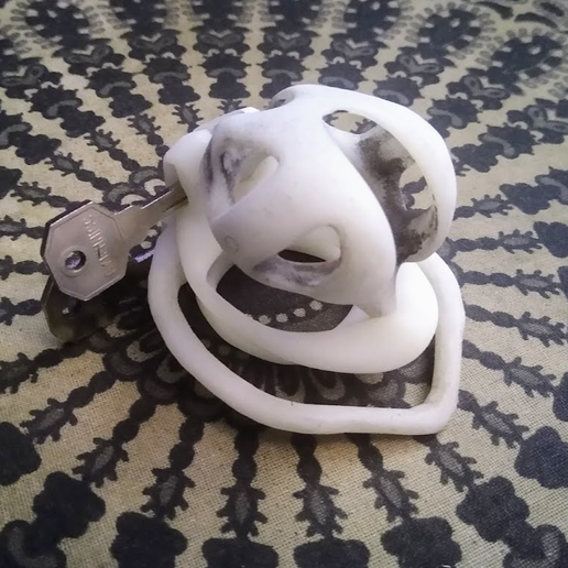 New 3D Print Double Lock Chastity Device