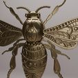 HI-3.jpg Fly