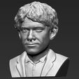 bilbo-baggins-hobbit-bust-ready-for-full-color-3d-printing-3d-model-obj-mtl-stl-wrl-wrz (22).jpg Bilbo Baggins Hobbit bust 3D printing ready stl obj