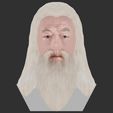 32.jpg Dumbledore from Harry Potter bust for full color 3D printing