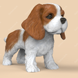 kc04.png Cute Cavalier King Charles Spaniel STL and VRML