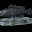 White-grouper-open-mouth-statue-4.png fish white grouper / Epinephelus aeneus open mouth statue detailed texture for 3d printing