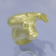 3.png bull ring