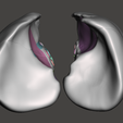 lung-5.png High resolution 3D lungs model with detailed anatomical impression