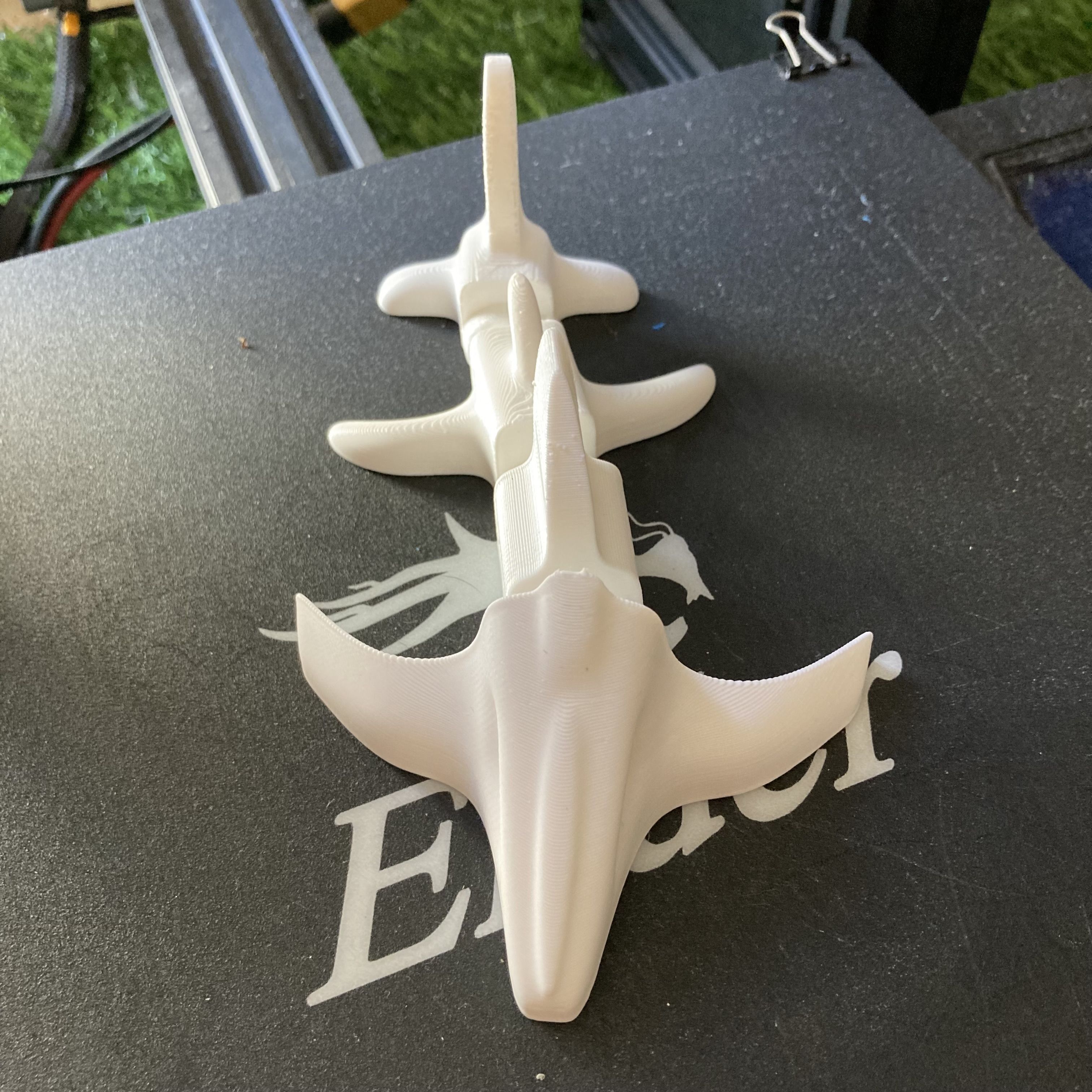 IMG-9373.jpg Archivo STL Flexi bone shark (print in place)・Modelo de impresora 3D para descargar, QBKO3D