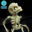 IMG_20221009_181548.jpg ARTICULATED HALLOWEEN SKELETON PACK WITH PROPS