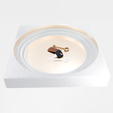 MarbleAndGold1.png Pristine Organizing Tray