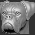 2.jpg Boxer dog for 3D printing
