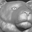 20.jpg Tiger head for 3D printing