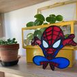 3E876509-5633-4E15-917D-F9E01898D978L0001.jpg Spider-man